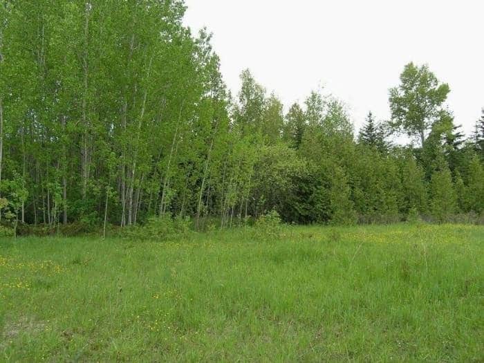 Lake Huron 12-acre lot