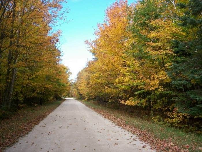 wooded lot on Beaver Island, MI