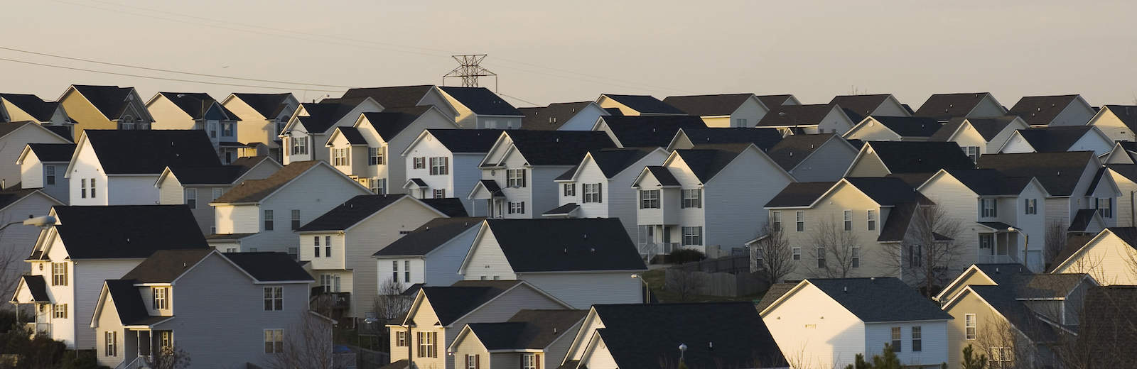 cookie cutter houses