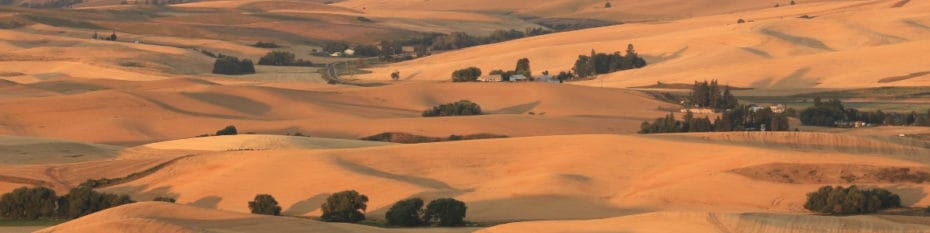 farmland sunset