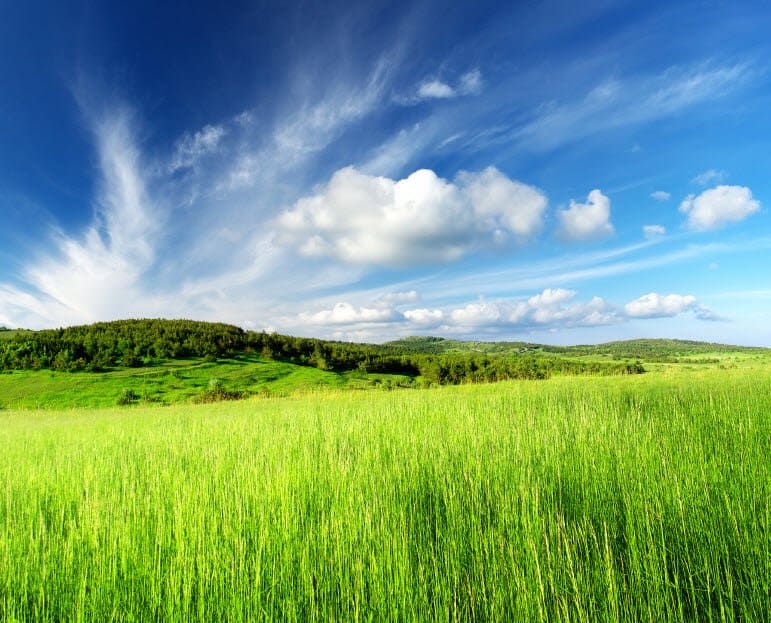 stock photo of field