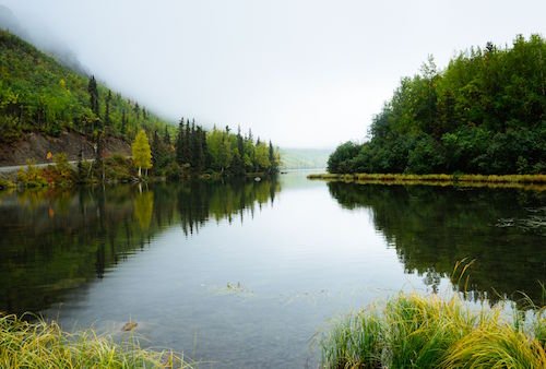 wetland preserve