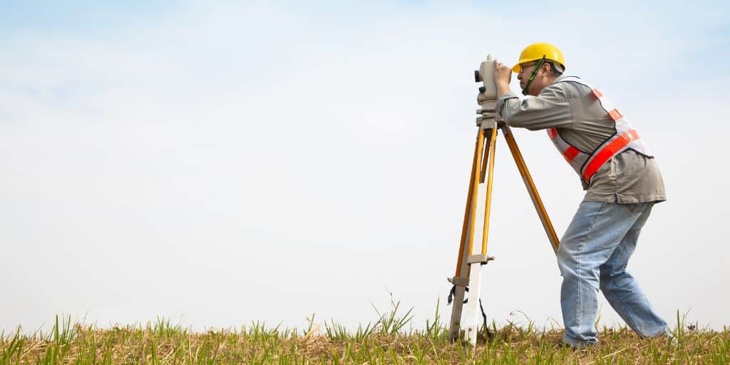 what is a surveyor