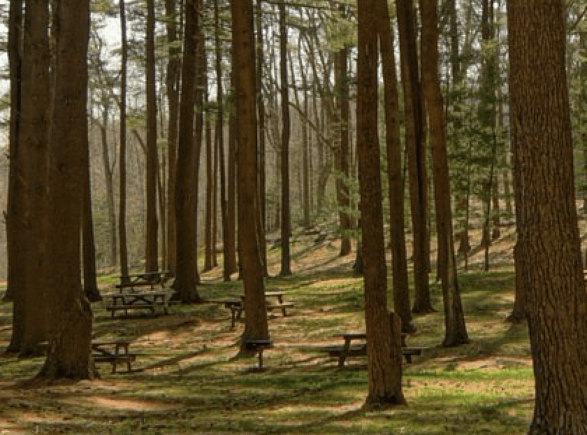 outdoor picnic area